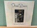 DANA GRAYBEAL Final Dawn LP Rare Sealed Private Press Gospel AOR Rock