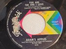 NORTHERN SOUL 45 ADAM'S APPLES You Are The One I Love BRUNSWICK Stop Along HEAR