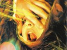 The Flaming Lips Embryonic 2009 Warner Music 12