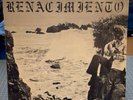 Renacimiento Vinyl LP Rare Private Press Folk Psych- Mexico