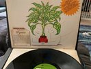 Mort Garson MOTHER EARTH'S PLANTASIA Original Pressing w/Hype & Booklet/EX VINYL