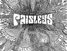 The Paisley Cosmic Mind At Play (Vinyl)