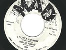 CHICAGO BLUES R&B ROCKER 45 RPM 