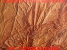 Tabaco Y Sus Metales – El Timbalero [1985] Vinyl LP Latin Salsa Guaguanco Bolero