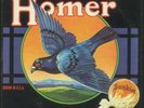 HOMER Grown in U.S.A. Universal Recording Artists Psych Prog Rock RARE 1ST Press