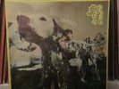 Who Cares? - Rex Orange County (Vinyl, 2022) [Limited Edition Lenticular Cover]