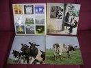Pink Floyd  3 LP`s 60er  :  A nice pair / Ummagumma / Atom Heart Mother    