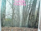 Twink - Think Pink - Vinyl LP – Polydor 2310 057 – Made in Germany
