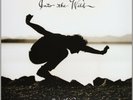 Eddie Vedder - Into The Wild Vinyl LP NEU MINT