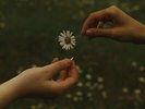 Goldmund - The Time it Takes (Transparent Marigold Orange Vinyl) [New Vinyl LP]