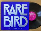 Rare Bird - As Your Mind Flies By - 12” Vinyl LP - 1st Press UK 1970 - CAS 1011