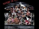 PSYCHIC MIRRORS Nature Of Evil LP NEW VINYL Cosmic Chronic boogie People's Pote
