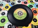DON GARDNER * MY BABY LIKES TO BOOGALOO * MOD R&B NORTHERN SOUL️