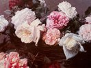 ORIGINAL 1983 NEW ORDER Album POWER CORRUPTION LIES Vinyl 1st Pressing NEAR MINT