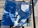 David Lynch Inland Empire Vinyl EP Sacred Bones IN HAND Clear Ghost Of Love