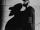 Homeboy Sandman - Veins [LP] VINYL LP NEW