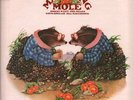 MATCHING MOLE Matching Mole LP VINYL UK Cbs 8 Track Vinyl LP Sunrise Label