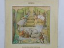 GENESIS Selling England By The Pound FC6060 RI LP Vinyl VG+ Insert Co Sleeve1973