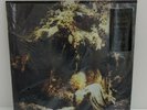 Wolves in the Throne Room - Celestial Lineage 2 x LP Vinyl Album