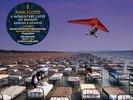 Pink Floyd   A Momentary Lapse Of Reason • 12