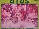 GTO's - PERMANENT DAMAGE - GATEFOLD LP - PSYCHEDELIC - NEAR MINT LP & BOOKLET