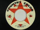 Garage 45 - Barefacts - Tell Me - Country Color - mp3