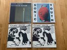 SONIC YOUTH LP (2X) Dirty Daydream Nation Art Cover Pettibon Richter Kelley