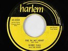 Doo-Wop 45 - Bobby Hall & the Kings - Fire In My Heart - Harlem - mp3 - rare
