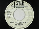 Doo-Wop/R&B 45 - Willows - Now That I Have You - 4 Star - mp3