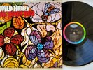 The Beach Boys - Wild Honey Vinyl LP - 1967 - Mono - Capitol T 2859