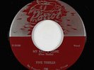 Doo-Wop 45 - Five Thrills - My Baby's Gone - Parrot - VG+ mp3 - rare OG