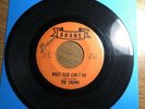 THE CROWD 45 What Else Can I Do - 1960’s TEXAS NORTHERN SOUL GARAGE on SHANE