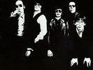 Flamin' Groovies - Now [New Vinyl LP]