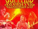 Buffalo Revisited - Volcanic Rock Live [New Vinyl LP]