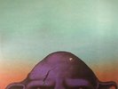 THEE OH SEES - Orc - Vinyl (2xLP)