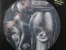 The Shiver-Walpurgis Swiss prog psych picture disc lp reissue new 8 pg insert