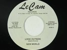 Psych Funk 45 - New World - Look Outside - Le Cam - VG+ mp3 - obscure