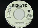 Garage Fuzz 45 - Basement Wall - Never Existed - Senate - mp3