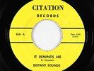 Garage/Surf 45 - Distant Sounds - It Reminds Me/Dreamin' - Citation - VG++ mp3