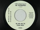 Psych 45 - Big Bird & The Steam Shovel - The Psychiatrist - Capricorn - rare