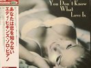 VENUS VHJD-213 EDDIE HIGGINS YOU DON'T KNOW WHAT LOVE IS JAPAN LP 2003