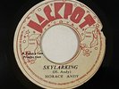 Horace Andy 