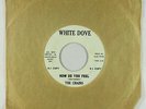 Garage Psych 45 - The Chains - How Do You Feel/Not Gonna- mp3 rare promo-only?