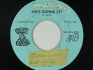 Garage Psych 45 - Onion Rings - She's Gonna Cry - Blue Onion - mp3