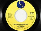 Punk 45 - Ramones - Sheena Is A Punk Rocker - Sire - mp3