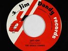 Surf Inst. 45 - Ideals Combo - Lift-Off - Jim Dandy - VG+ mp3