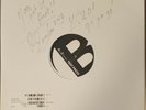 THE FLESHTONES - BUDGET BUSTER (AUTOGRAPHED) [WHITE LABEL TEST PRESSING]