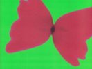 IVVVO - Bleached Butterfly - Vinyl (LP in spot-varnished sleeve)