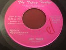 Topsy Turby Liberty Bell 45 Snake Woman b/w Hey Tiger Rare Phoenix Garage/Psych