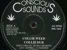 Disco Dread/Bush Chemists - Collie Weed/Earth Rocker (12',Conscious Sounds,1995)